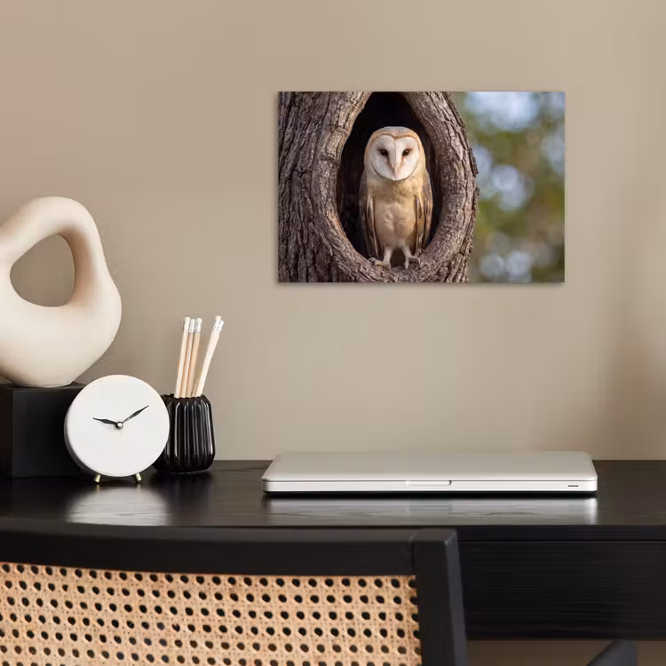 Poster - Kerkuil - Boom - Natuur - Bruin — 2