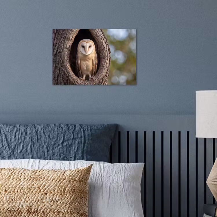 Poster - Kerkuil - Boom - Natuur - Bruin — 3