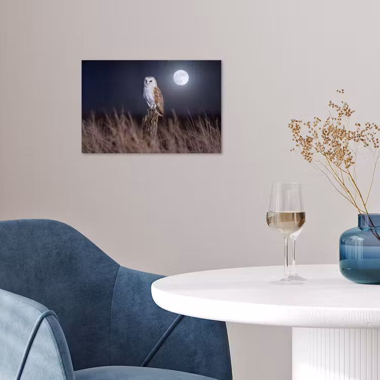 Poster - Kerkuil - Maan - Nacht — 4