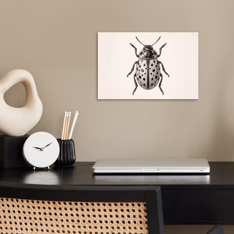 Poster - Kever - Insect - Vintage — 2