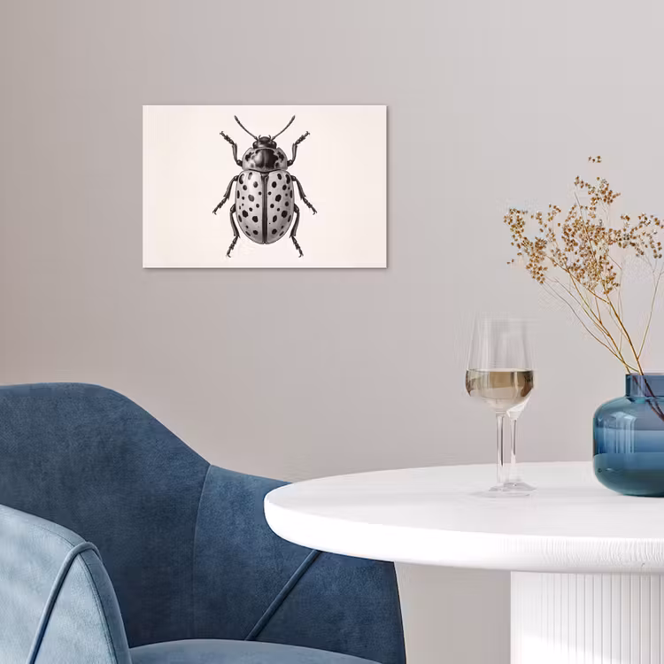 Poster - Kever - Insect - Vintage — 4