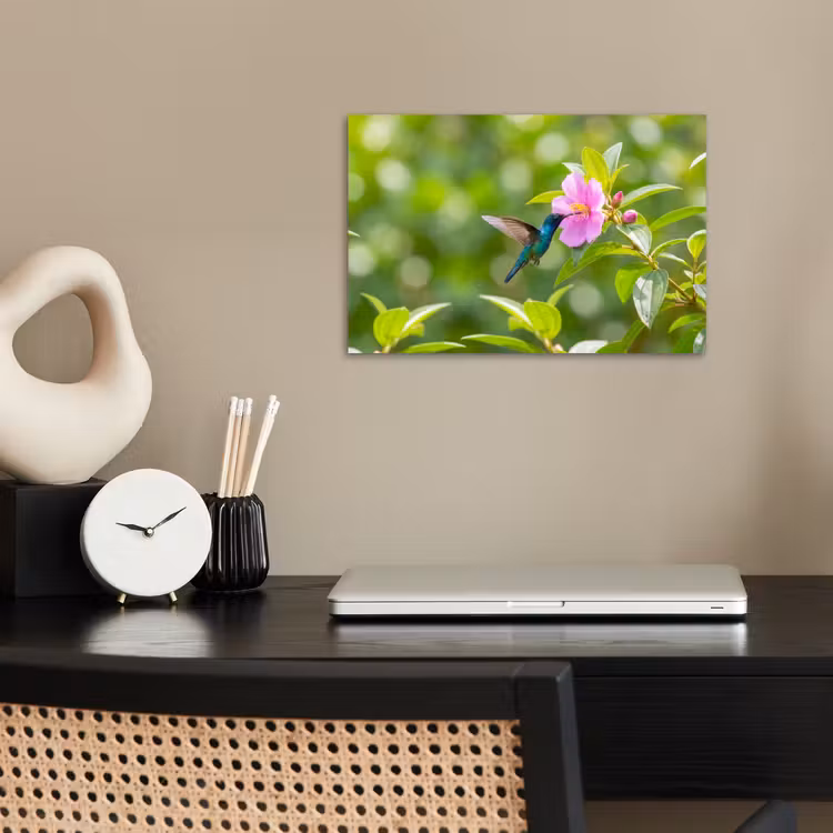 Poster - Kolibrie - Bloem - Natuur - Groen — 2