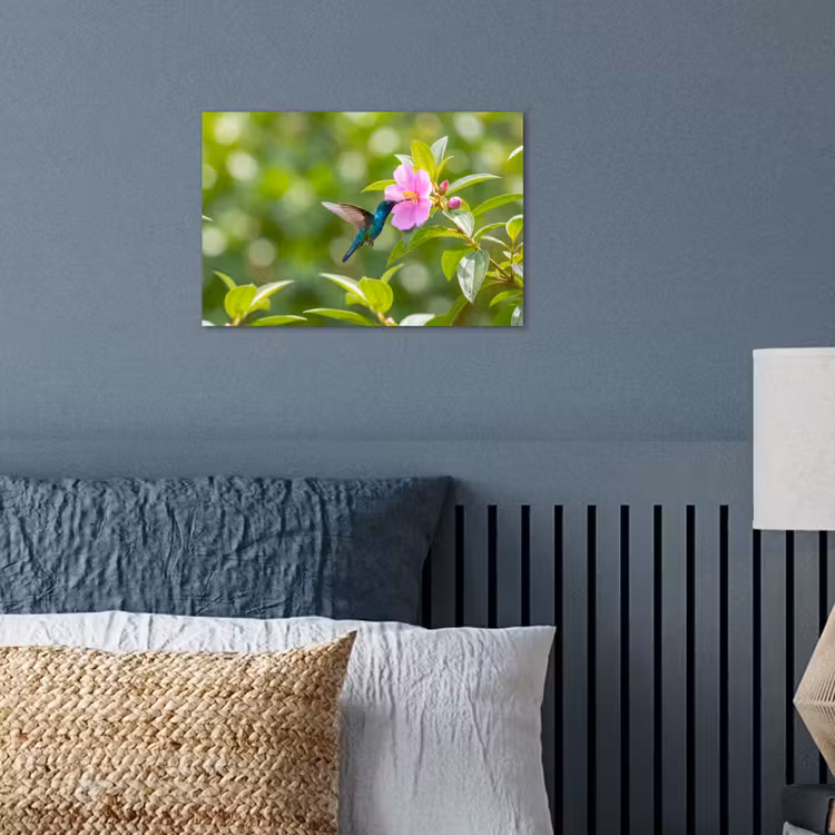 Poster - Kolibrie - Bloem - Natuur - Groen — 3