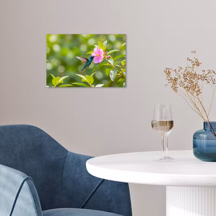 Poster - Kolibrie - Bloem - Natuur - Groen — 4