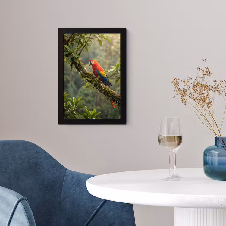 Poster met lijst - Ara - Jungle - Rood — 2