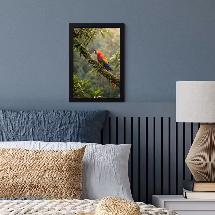 Poster met lijst - Ara - Jungle - Rood — 4