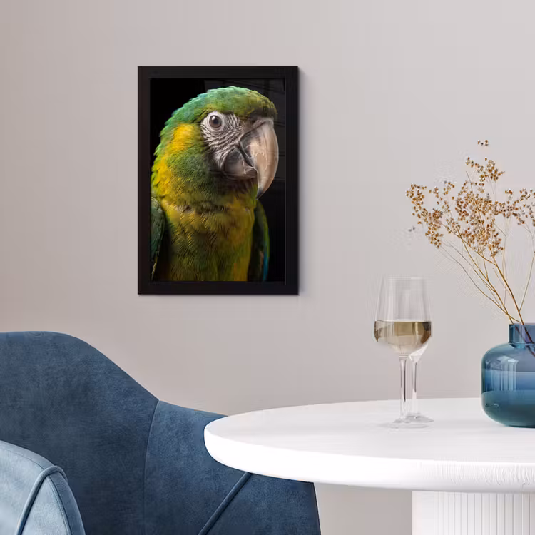 Poster met lijst - Ara - Portret - Groen — 2