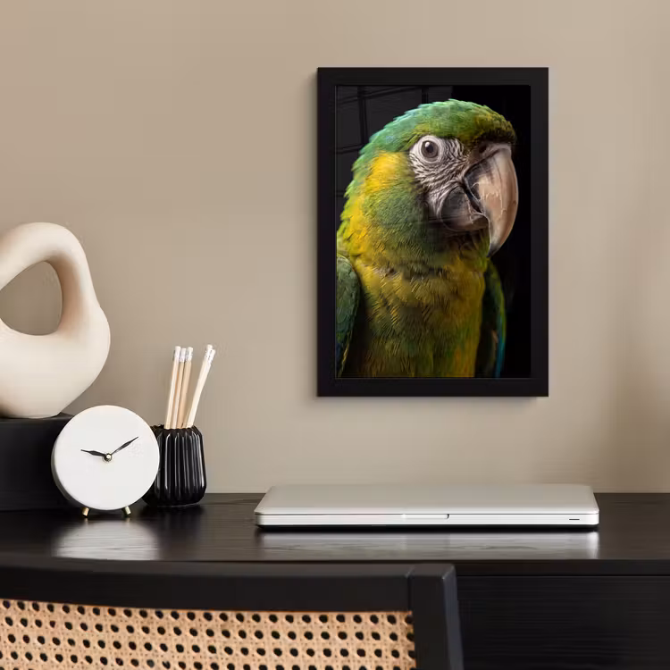Poster met lijst - Ara - Portret - Groen — 3