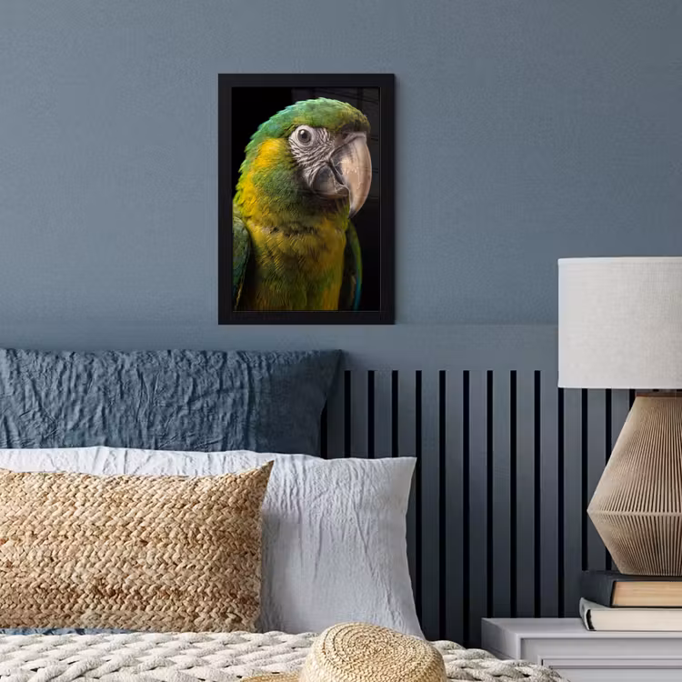 Poster met lijst - Ara - Portret - Groen — 4