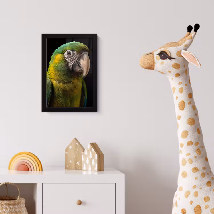 Poster met lijst - Ara - Portret - Groen — 5