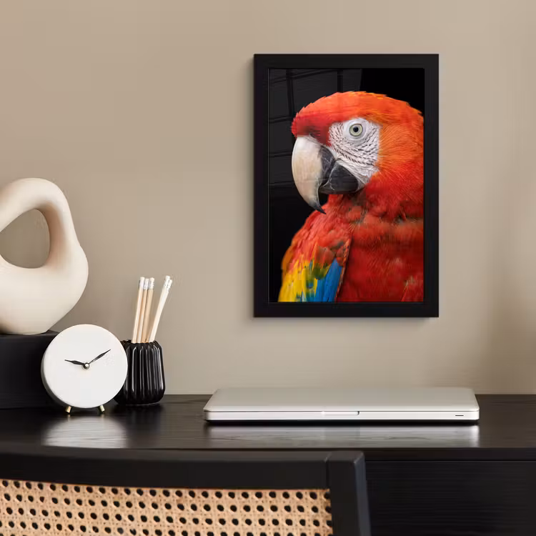 Poster met lijst - Ara - Portret - Rood — 3