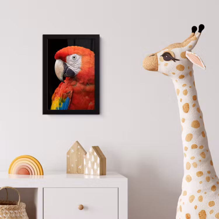 Poster met lijst - Ara - Portret - Rood — 5
