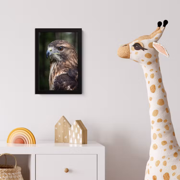 Poster met lijst - Buizerd - Roofvogel - Natuur - Bruin — 5