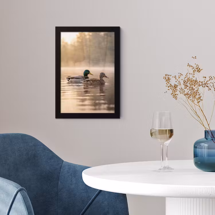 Poster met lijst - Eenden - Water - Mist - Natuur — 2