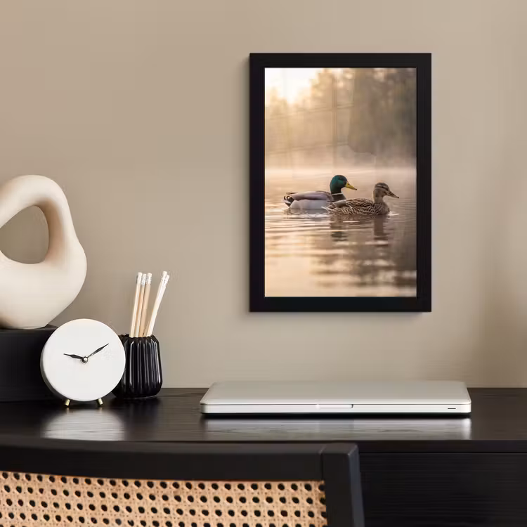 Poster met lijst - Eenden - Water - Mist - Natuur — 3