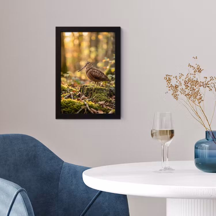 Poster met lijst - Houtsnip - Bos - Bladeren - Herfst - Gecamoufleerd — 2