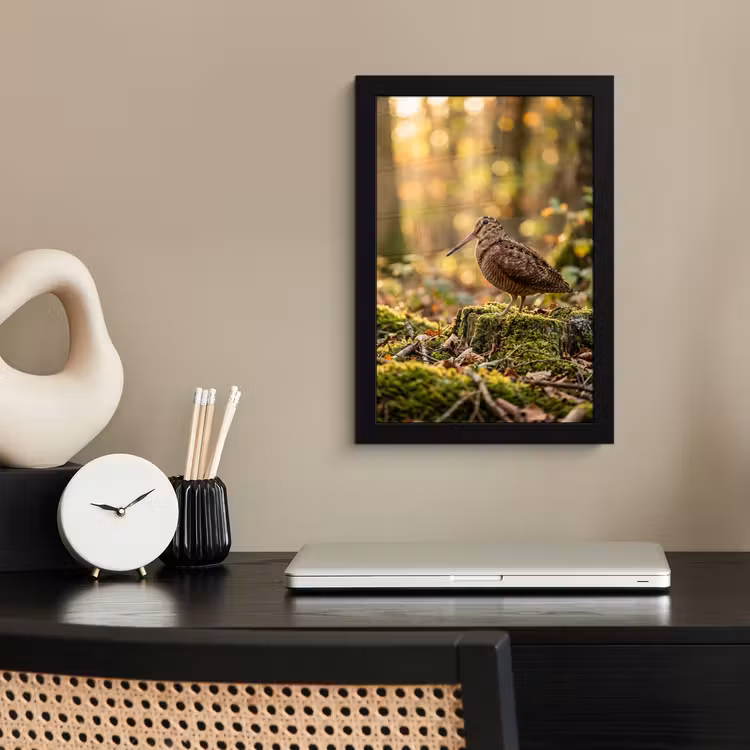 Poster met lijst - Houtsnip - Bos - Bladeren - Herfst - Gecamoufleerd — 3