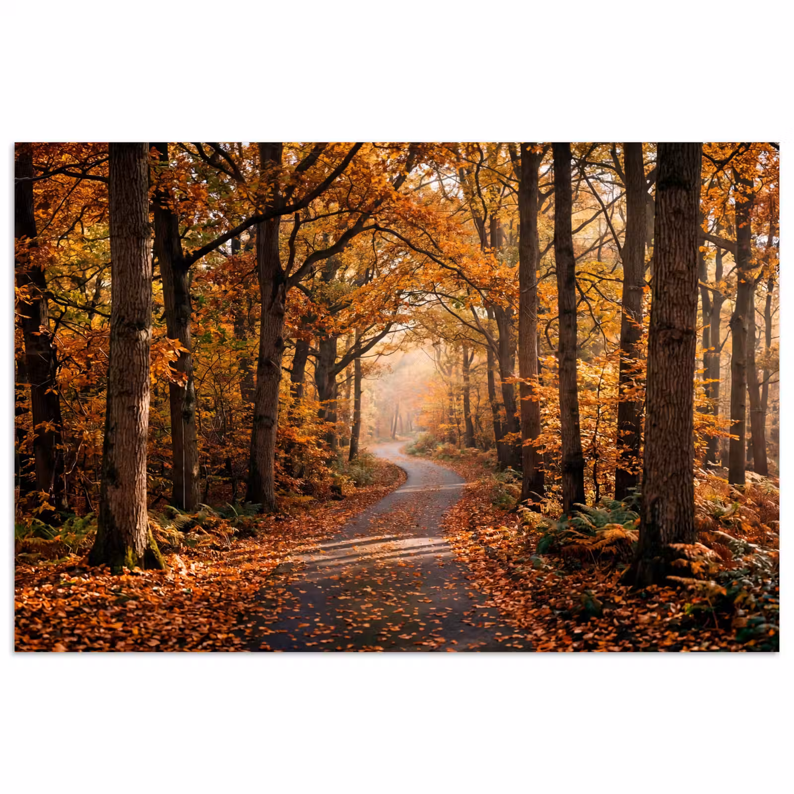 Poster - Bospad - Herfstbos - Bladeren - Oranje - Nostalgisch — 1