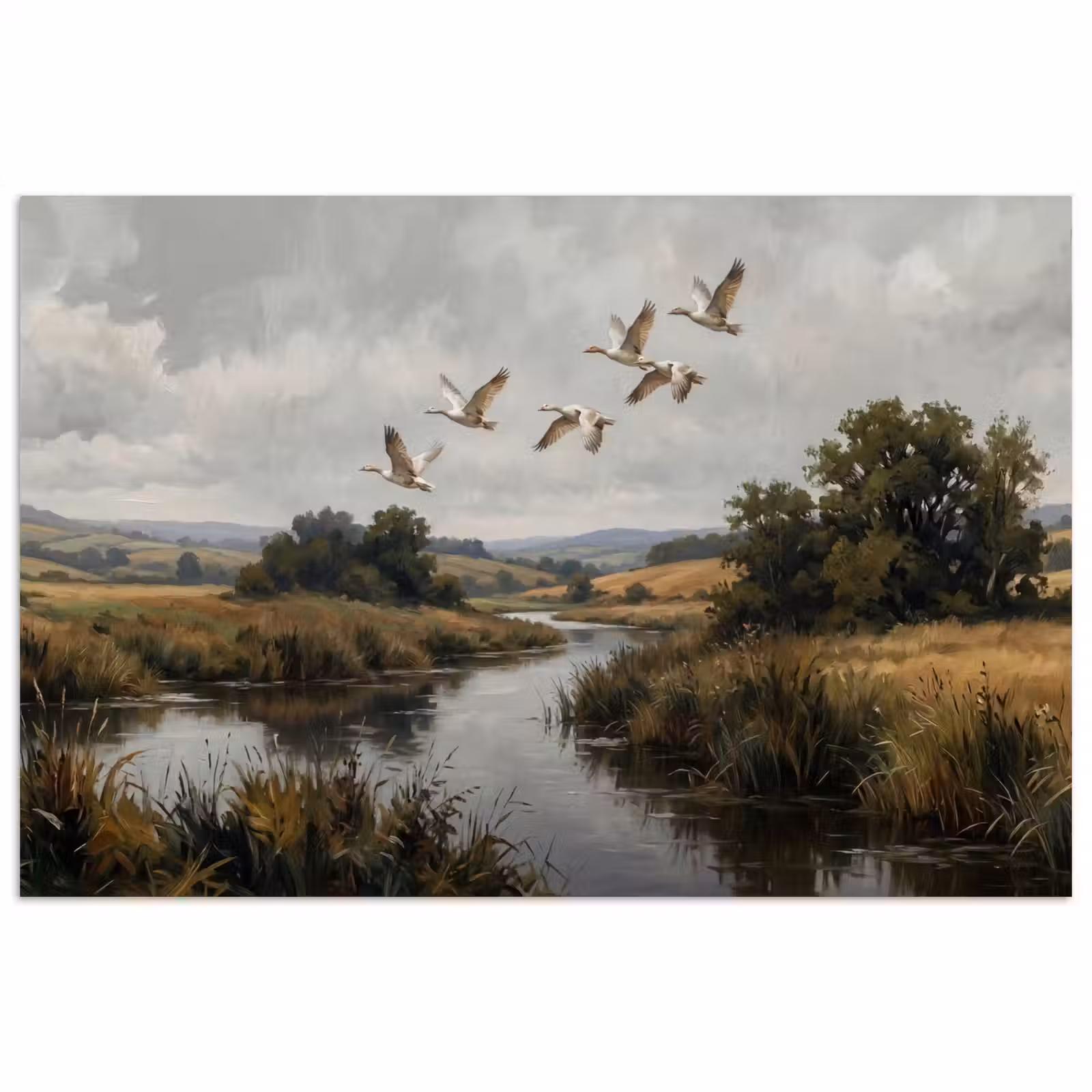 Poster - Eenden - Rivier - Landschap - Vlucht - Nostalgisch — 1