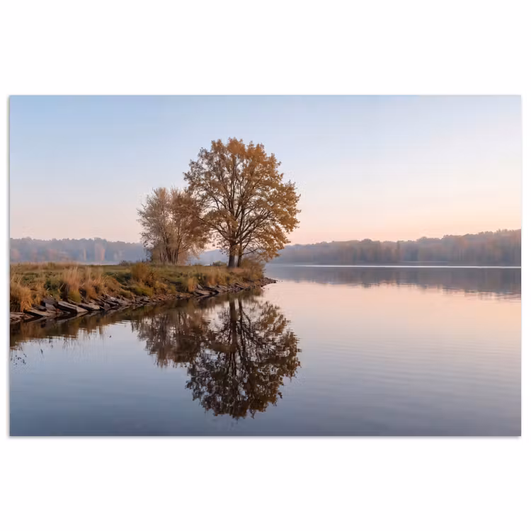 Poster - Bomen - Reflectie - Water - Zonsopgang - Serene — 1