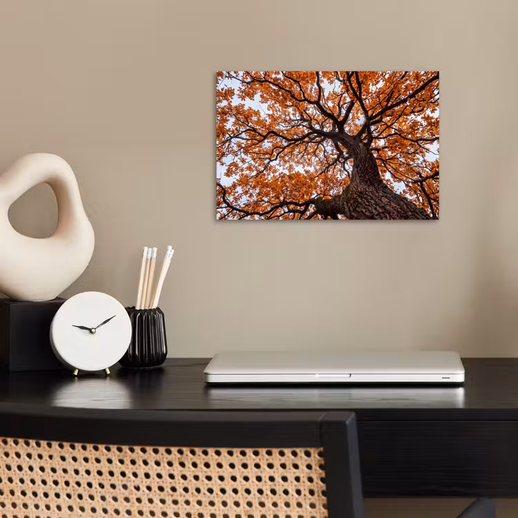 Poster - Boom - Bladerdak - Herfst - Oranje - Sfeervol — 2