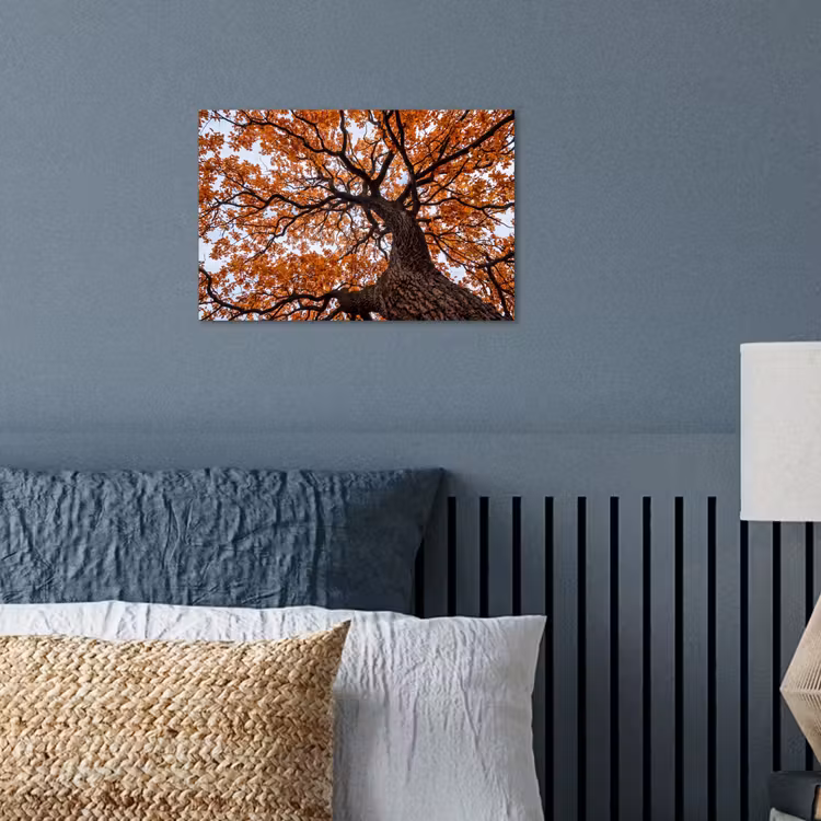 Poster - Boom - Bladerdak - Herfst - Oranje - Sfeervol — 3