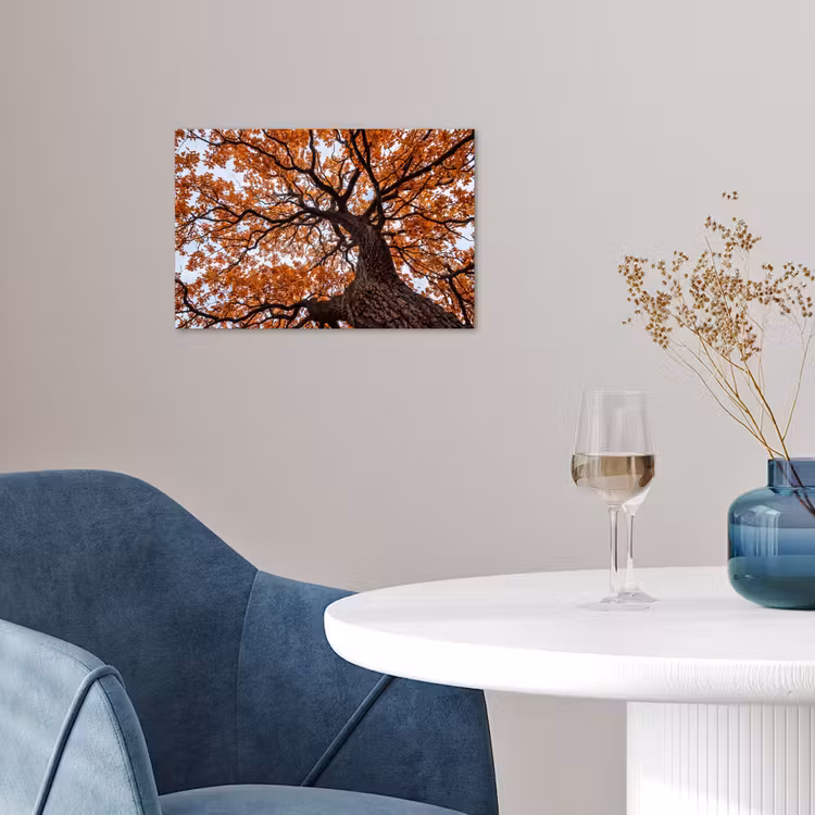 Poster - Boom - Bladerdak - Herfst - Oranje - Sfeervol — 4