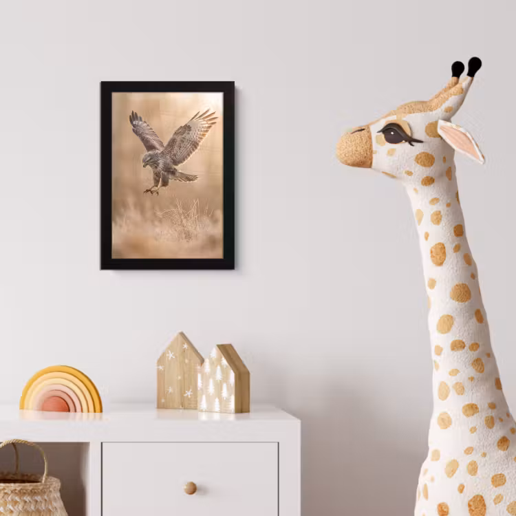 Poster met lijst - Buizerd - Roofvogel - Natuur - Bruin — 5