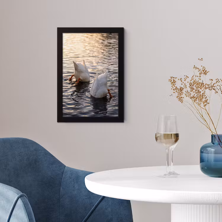 Poster met lijst - Eenden - Water - Natuur — 2