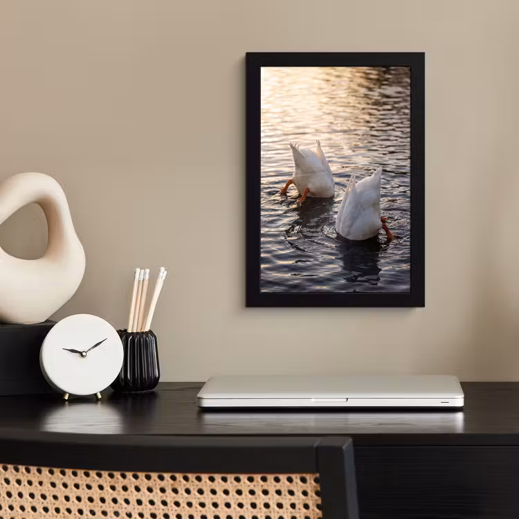 Poster met lijst - Eenden - Water - Natuur — 3