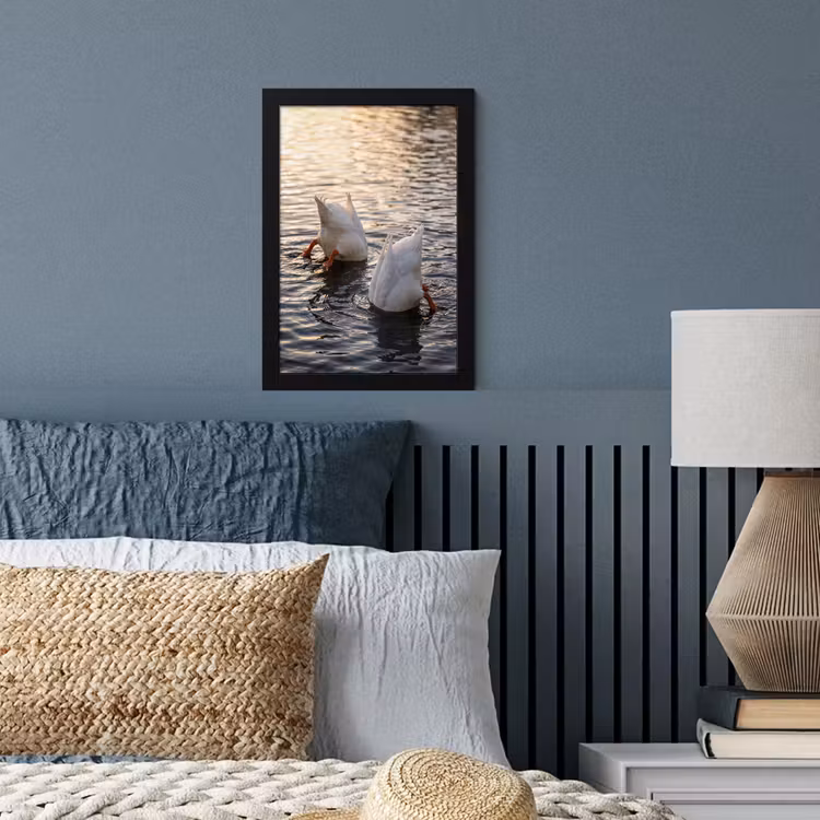 Poster met lijst - Eenden - Water - Natuur — 4