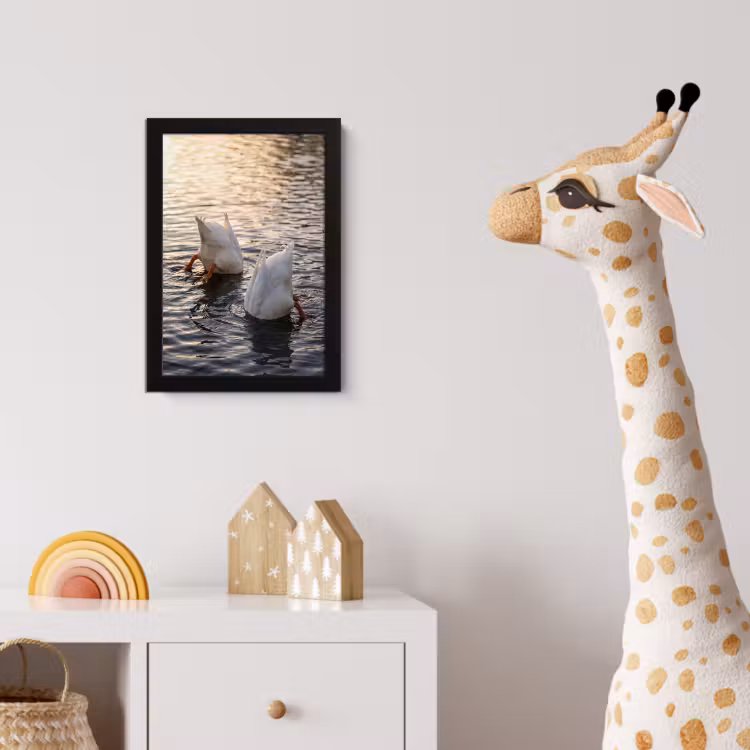 Poster met lijst - Eenden - Water - Natuur — 5
