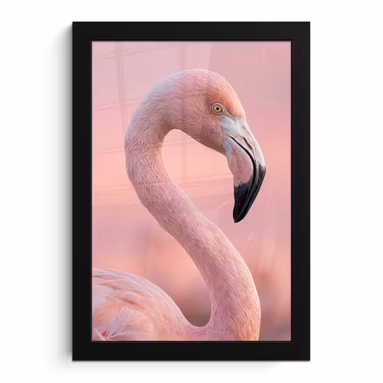 Poster met lijst - Flamingo - Portret - Roze — 1