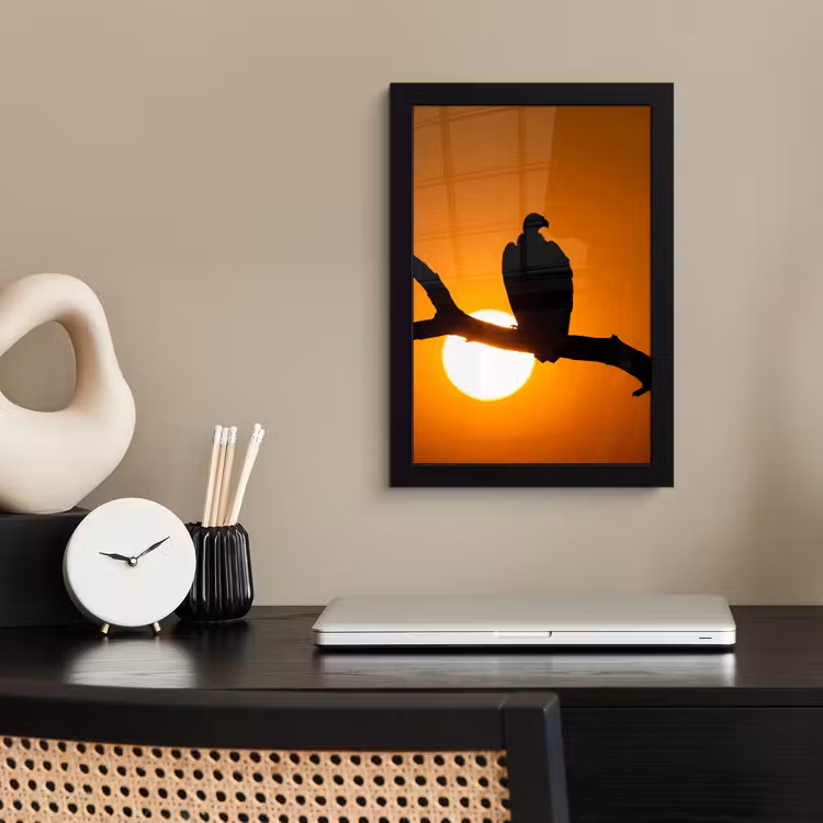 Poster met lijst - Gier - Tak - Zon - Oranje — 3