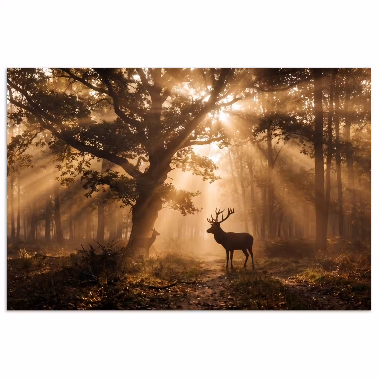 Poster - Hert - Bos - Mistig - Natuur - Goud — 1