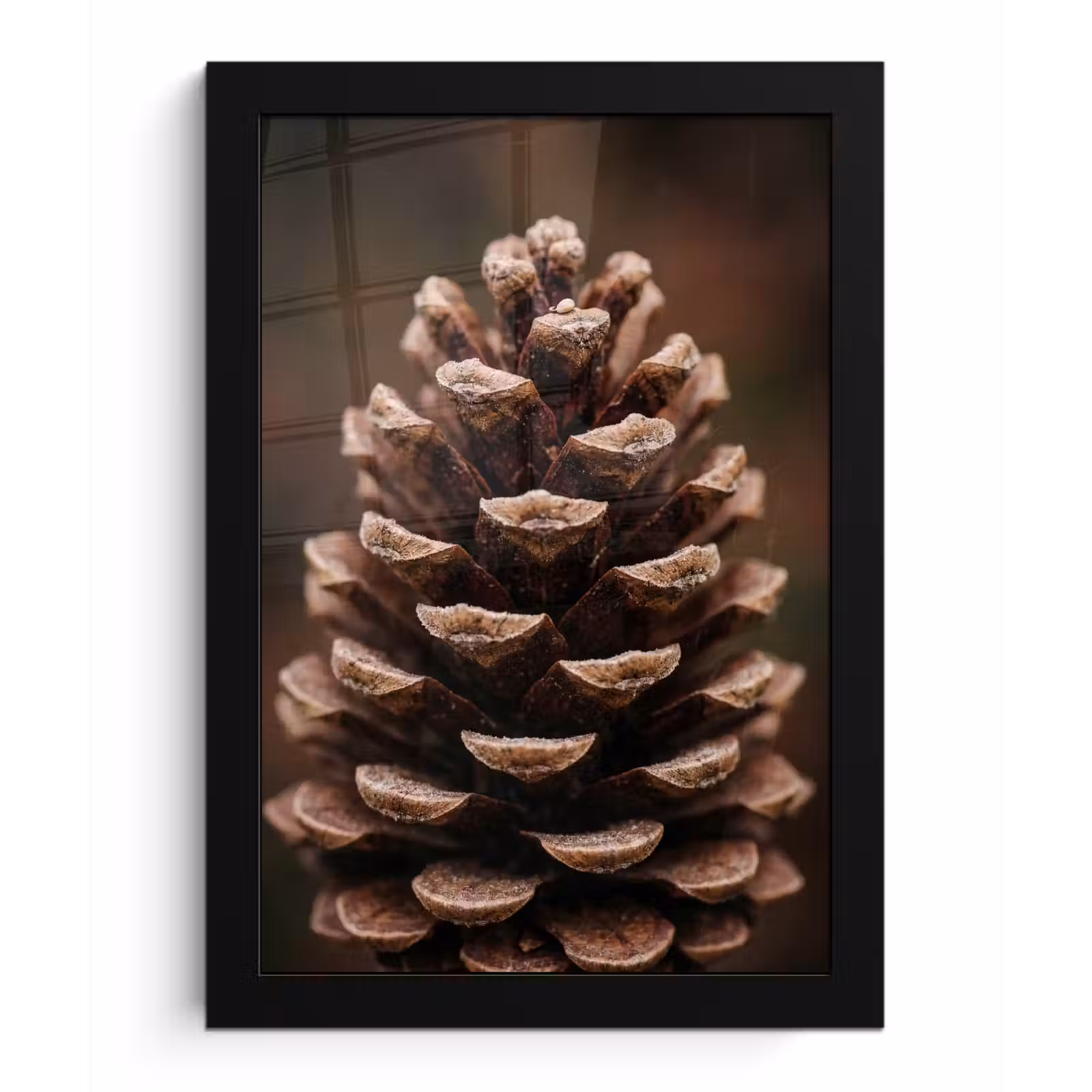 Poster met lijst - Dennenappel - Bos - Herfst - Bruin - Sfeervol — 1