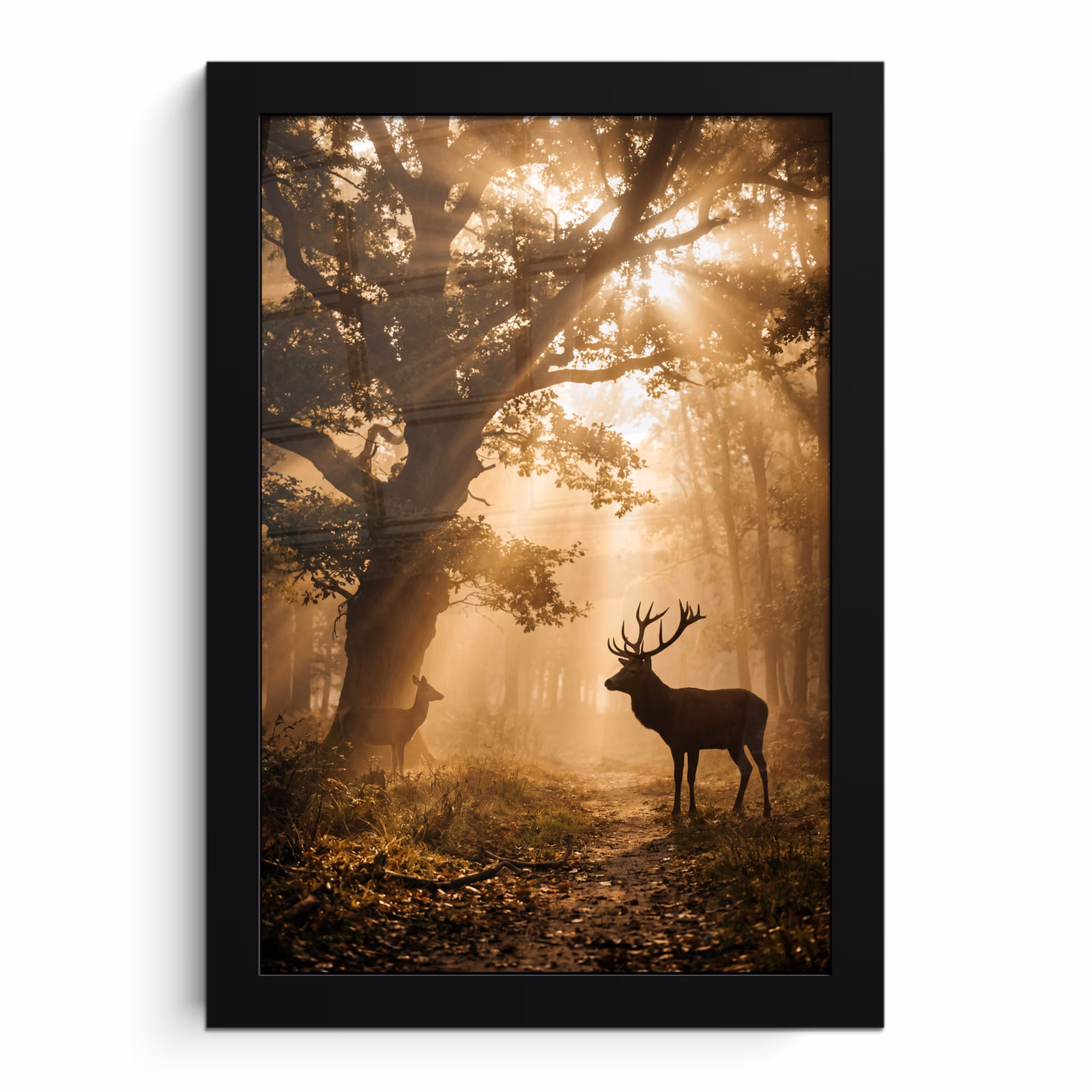 Poster met lijst - Hert - Bos - Mistig - Natuur - Goud — 1