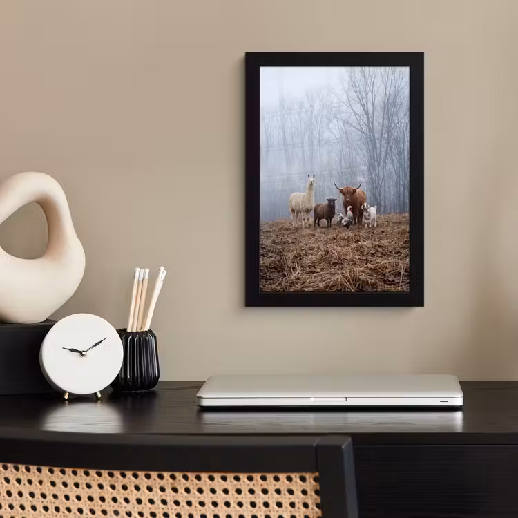Poster met lijst - Boerderijdieren - Groep - Mist - Natuur - Rustiek — 3