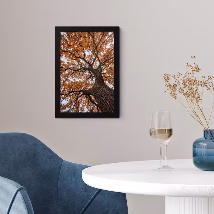 Poster met lijst - Boom - Bladerdak - Herfst - Oranje - Sfeervol — 2