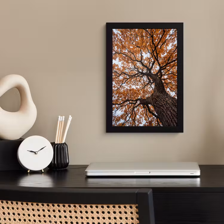 Poster met lijst - Boom - Bladerdak - Herfst - Oranje - Sfeervol — 3