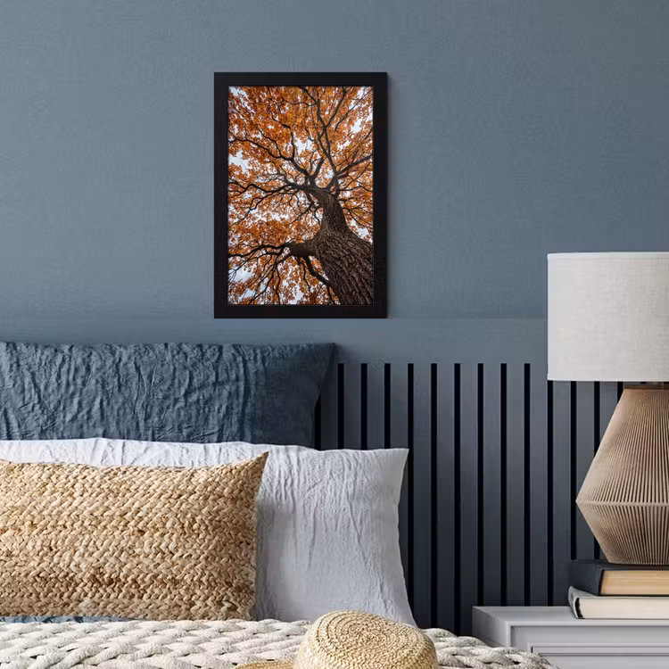 Poster met lijst - Boom - Bladerdak - Herfst - Oranje - Sfeervol — 4