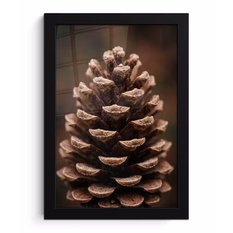 Poster met lijst - Dennenappel - Bos - Herfst - Bruin - Sfeervol — 1