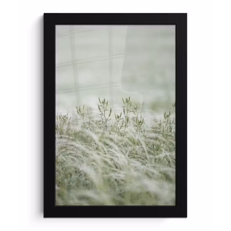 Poster met lijst - Grassen - Minimalistisch - Groen — 1
