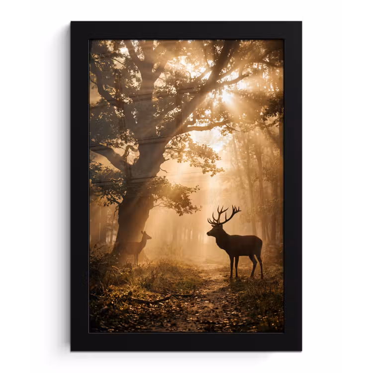 Poster met lijst - Hert - Bos - Mistig - Natuur - Goud — 1