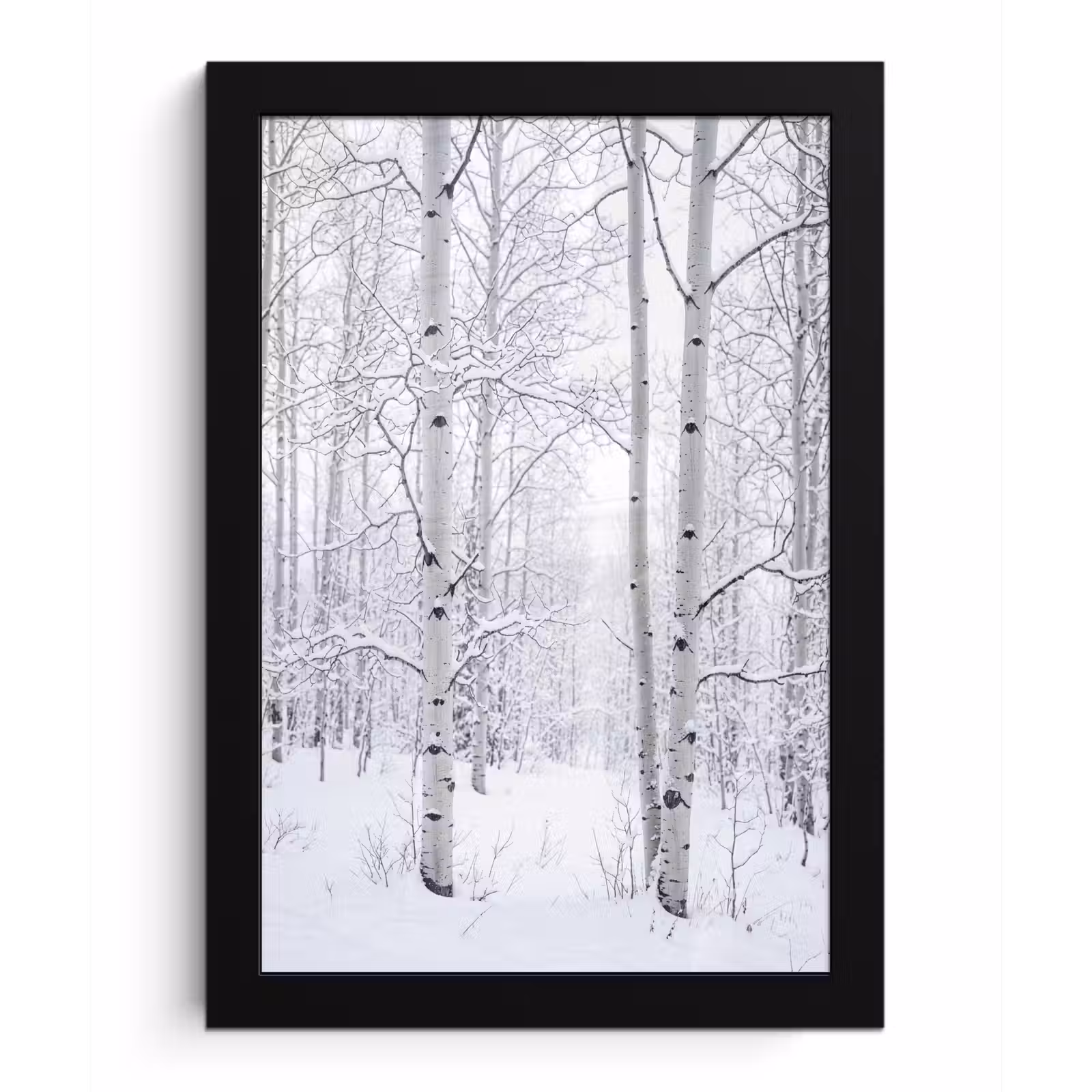 Poster met lijst - Berkenbomen - Sneeuw - Winter - Bos - Wit — 1