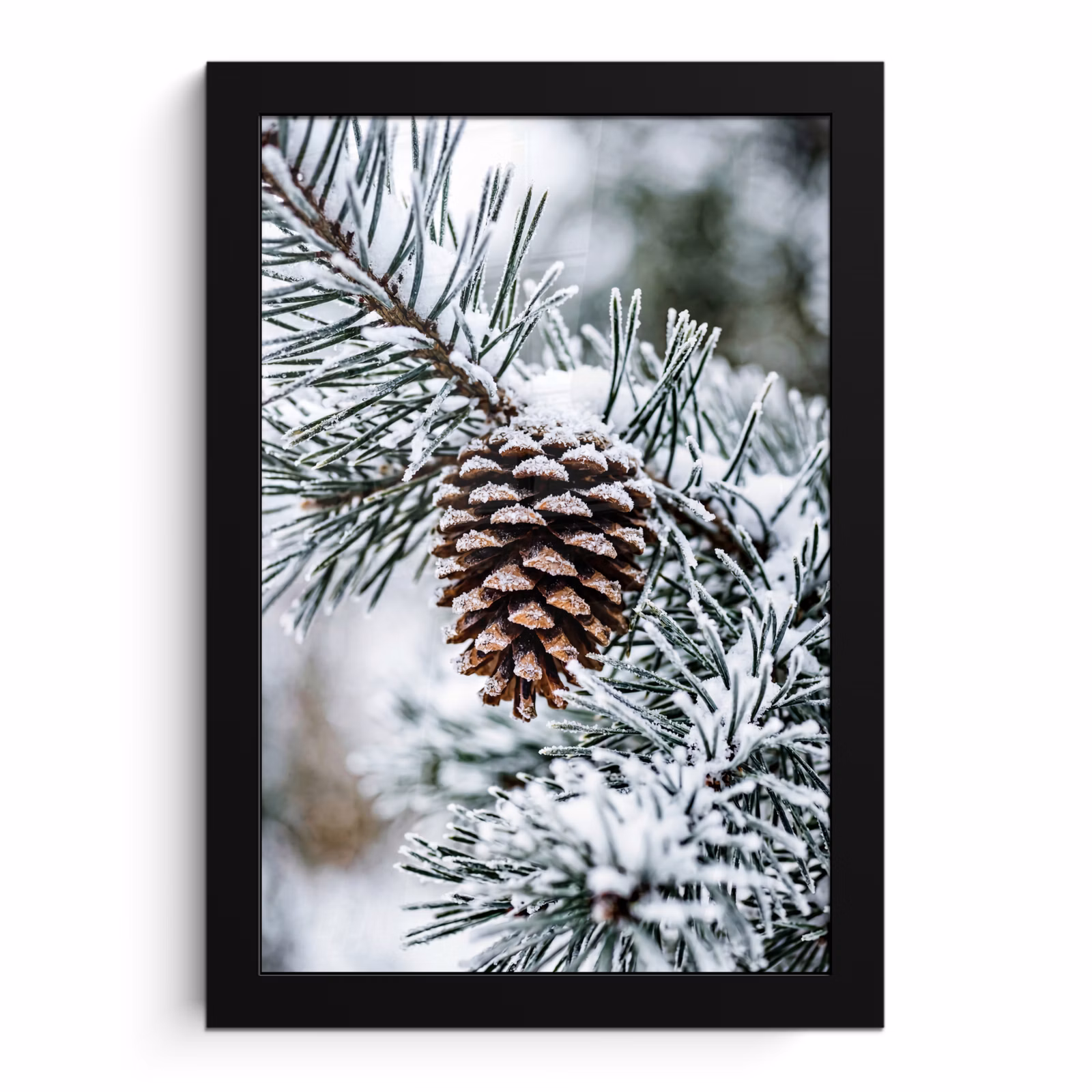 Poster met lijst - Dennenappel - Tak - Sneeuw - Winter - Sfeervol — 1