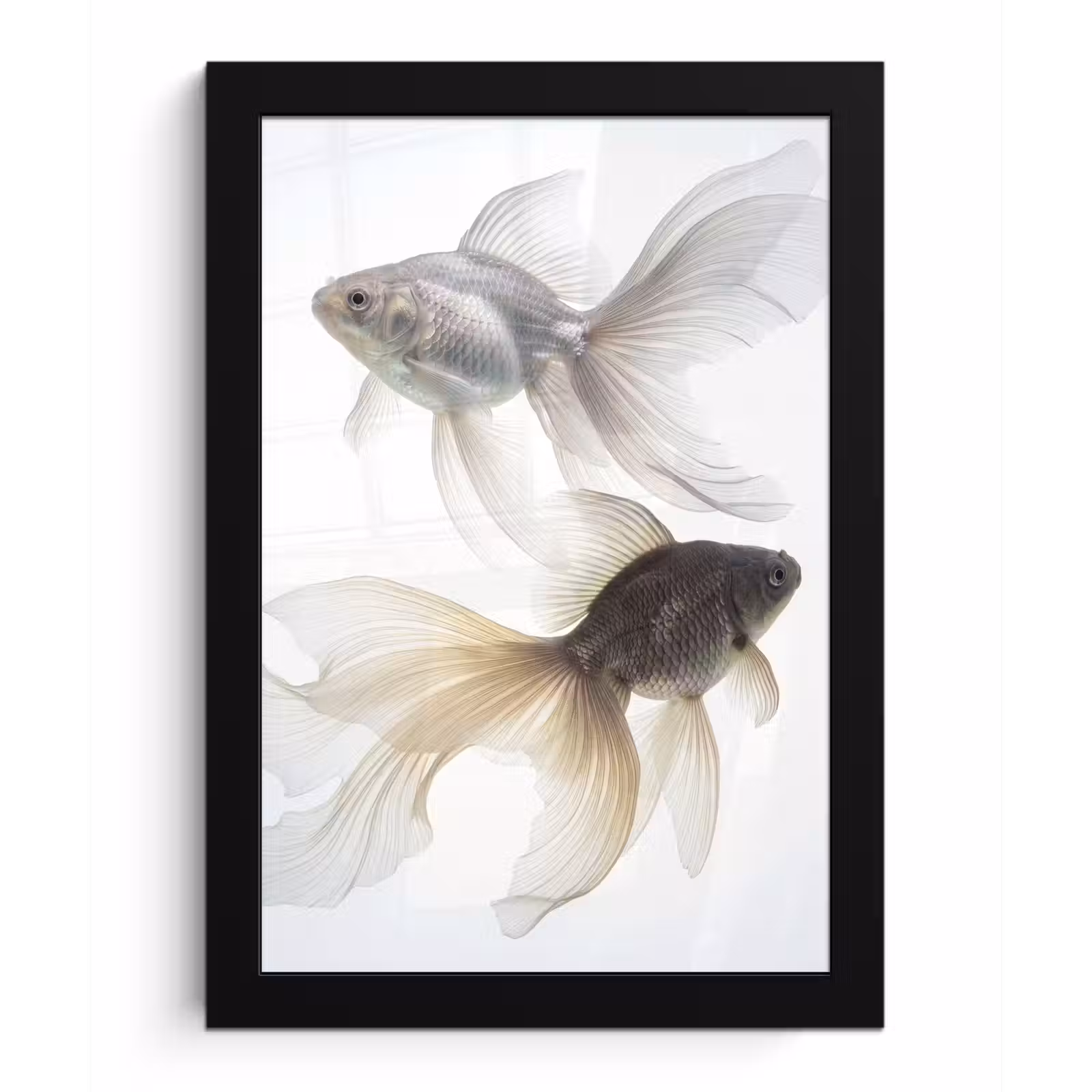 Poster met lijst - Goudvissen - Modern - Wit — 1