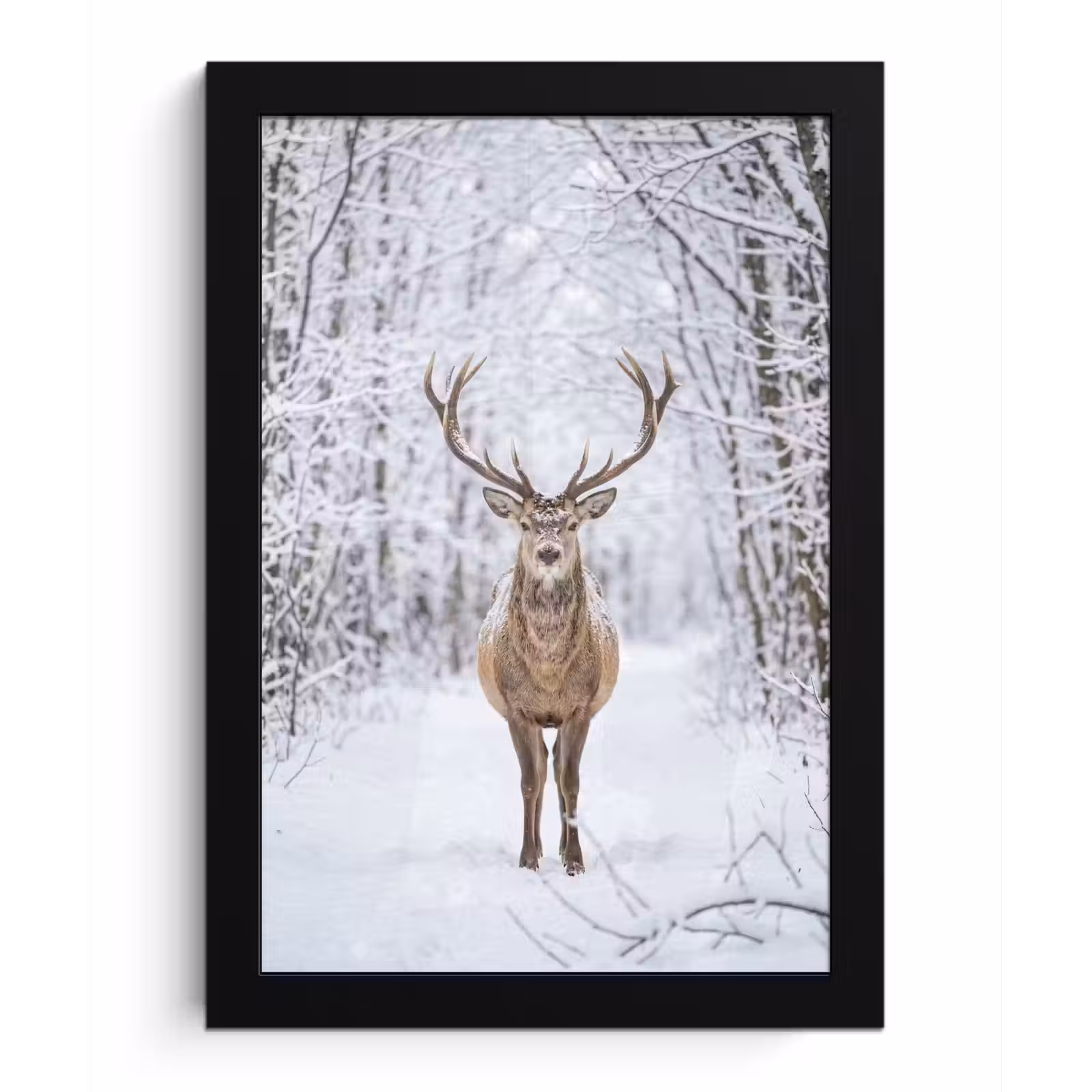 Poster met lijst - Hert - Winter - Bos - Natuur - Wit — 1