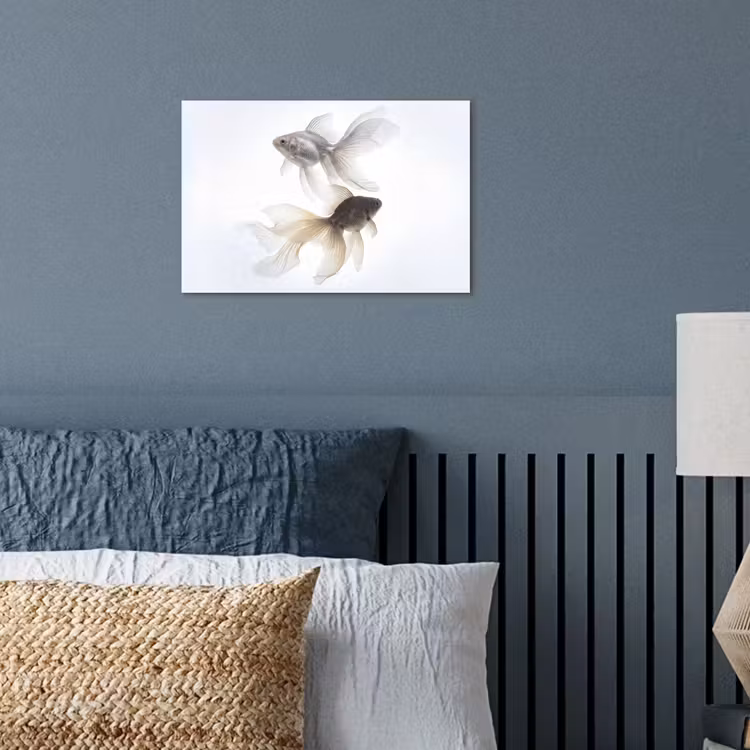 Poster - Goudvissen - Modern - Wit — 3