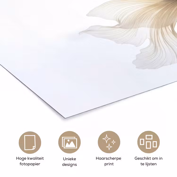 Poster - Goudvissen - Modern - Wit — 5